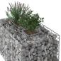 Preview: Gabionen-Hochbeet 100 x 60 x 55 cm Verzinkter Stahl Silber