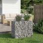 Preview: Gabionen-Hochbeet 90 x 50 x 80 cm Verzinkter Stahl Silber