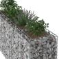 Preview: Gabionen-Hochbeet 170 x 50 x 80 cm Verzinkter Stahl Silber