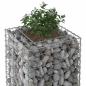 Preview: Gabionen-Hochbeet 50 x 50 x 150 cm Verzinkter Stahl Silber