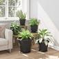 Preview: Runder Blumentopf 6 stk. Schwarz Ø 39 x 32 cm Kunststoff