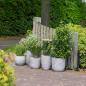 Preview: Capi Blumentopf Nature Rib Elegant Niedrig 36x47 cm Elfenbein KOFI782
