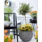 Preview: Capi Blumentopf Nature Rib Kugel 40 x 32 cm Anthrazit KOFZ270 
