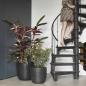 Preview: Capi Blumentopf Nature Rib Rund 43x41 cm Schwarz KBLR933