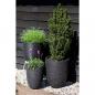Preview: Capi Blumentopf Nature Rib Rund 43x41 cm Schwarz KBLR933