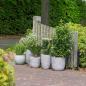 Preview: Capi Blumentopf Nature Rib Oval 35 x 34 cm Elfenbeinfarben 