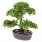 Preview: Emerald Kunstpflanze Bonsai Mini-Ficus Grün 32 cm 420002