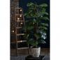 Preview: ARDEBO.de - Emerald Kunstpflanze Monstera an Stangen 150 cm