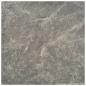 Preview: Bodenplanken Schwarz 5,11 m² 55 Stk. PVC