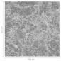 Preview: Bodenplanken Grau 5,11 m² 55 stk. PVC