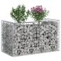 Preview: Gabionen-Hochbeet 50 x 100 x 60 cm Verzinkter Stahl Silber