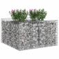 Preview: Gabionen-Hochbeet 100 x 100 x 60 cm Verzinkter Stahl Silber