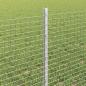 Preview: Geschweißter Drahtzaun mit Pfosten 10 x 0,6 m Verzinkter Stahl