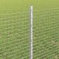 Preview: Geschweißter Drahtzaun mit Pfosten 10 x 0,8 m Verzinkter Stahl