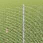 Preview: Geschweißter Drahtzaun mit Pfosten 10 x 1 m Verzinkter Stahl