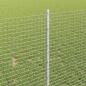 Preview: Geschweißter Drahtzaun mit Pfosten 25 x 1 m Verzinkter Stahl
