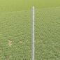 Preview: Sechseckzaun mit Pfosten 10 x 1 m Verzinkter Stahl Silber Netz