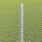 Preview: Zaun mit Pfosten Silber 1,2 x 50 m Stahl