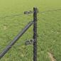 Preview: Sechseckzaun mit Pfosten 10 x 0,6 m PVC-beschichteter Stahl