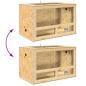 Preview: Terrarium Braun 80 x 50 x 100 cm OSB