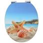 Preview: Soft-Close Toilettensitz 2 Stk. Meeres Muschel 44 x 38 cm