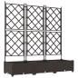 Preview: Garten-Pflanzgefäß 3 stk. Braun 120 x 40 x 125,5 cm PP