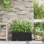 Preview: ARDEBO.de - Garten-Pflanzgefäß 2 Stk. Schwarz 80 x 40 x 37,5 cm PP