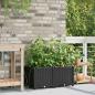 Preview: Garten-Pflanzgefäß 2 Stk. Schwarz 80 x 40 x 37,5 cm PP