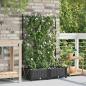 Preview: Garten-Pflanzgefäß 2 Stk. Schwarz 80 x 40 x 126 cm PP