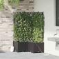 Preview: ARDEBO.de - Garten-Pflanzgefäß 3 Stk. Schwarz 80 x 80 x 142 cm PP