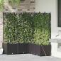 Preview: Garten-Pflanzgefäß 5 stk. Schwarz 120 x 120 x 142 cm PP