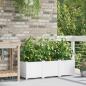 Preview: Garten-Pflanzgefäß 3 Stk. Weiß 120 x 40 x 37,5 cm PP