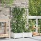 Preview: ARDEBO.de - Garten-Pflanzgefäß 2 Stk. Weiß 80 x 40 x 126 cm PP