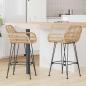 Preview: ARDEBO.de - Barstuhl 2 Stk. Natur 55 x 52 x 92 cm Rattan und Eisen