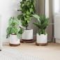 Preview: ARDEBO.de - Pflanzenhocker 3 Stk. Natur 29 x 29 x 3,5 cm Mahagoni Holz
