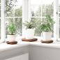 Preview: Pflanzenhocker 3 Stk. Natur 29 x 29 x 3,5 cm Mahagoni Holz