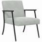 Preview: Sessel Hellgrau 59 x 75 x 78 cm Samt