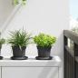 Preview: ARDEBO.de - Runder Blumentopf 24 stk. Schwarz Ø 12,5 x 10 cm Kunststoff