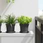 Preview: ARDEBO.de - Runder Blumentopf 24 stk. Schwarz Ø 15 x 12 cm Kunststoff