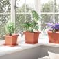 Preview: Quadratischer Blumentopf 6 Stk. Ziegelrot 20 x 20 x 16 cm