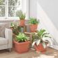 Preview: Quadratischer Blumentopf 6 Stk. Ziegelrot 33 x 33 x 26 cm