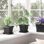 Preview: Quadratischer Blumentopf 24 stk. Schwarz 16 x 16 x 14 cm