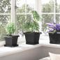 Preview: Quadratischer Blumentopf 24 stk. Schwarz 20 x 20 x 16 cm