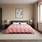 Preview: ARDEBO.de - Ganzjahresbettdecke 240 x 260 cm 4 Jahreszeiten Rosa