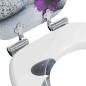 Preview: Soft-Close Toilettensitz Grau 44 x 38 cm MDF-Platte