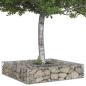 Preview: Gabionen Hochbeet 100 x 100 x 20 cm Verzinkter Stahl Silber