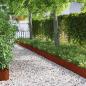 Preview: ARDEBO.de - Rasenkanten 20 stk. 103 x 0,05 x 22 cm Wetterfeststahl
