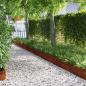 Preview: ARDEBO.de - Rasenkanten 20 stk. 103 x 0,05 x 22 cm Wetterfeststahl