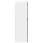 Preview: Geschirrsp?lerfront Kalmar Artisan-Eiche 80 x 31 x 100 cm