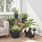 Preview: Quadratisches Blumentablett 24 stk. Schwarz 21 x 21 x 2 cm
